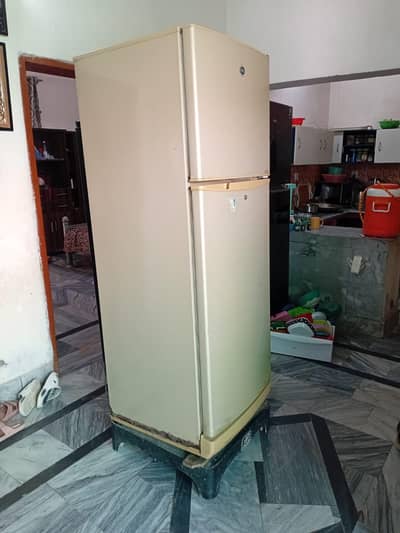 PEL REFRIGERATOR