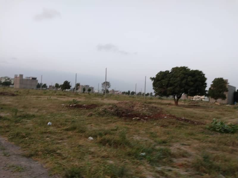 SAADI GARDEN 8