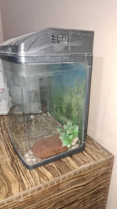 aquarium jebo imported from japan