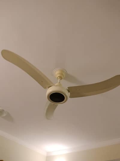 Pakfan Original ceiling fans 56 inch designer model pure copper