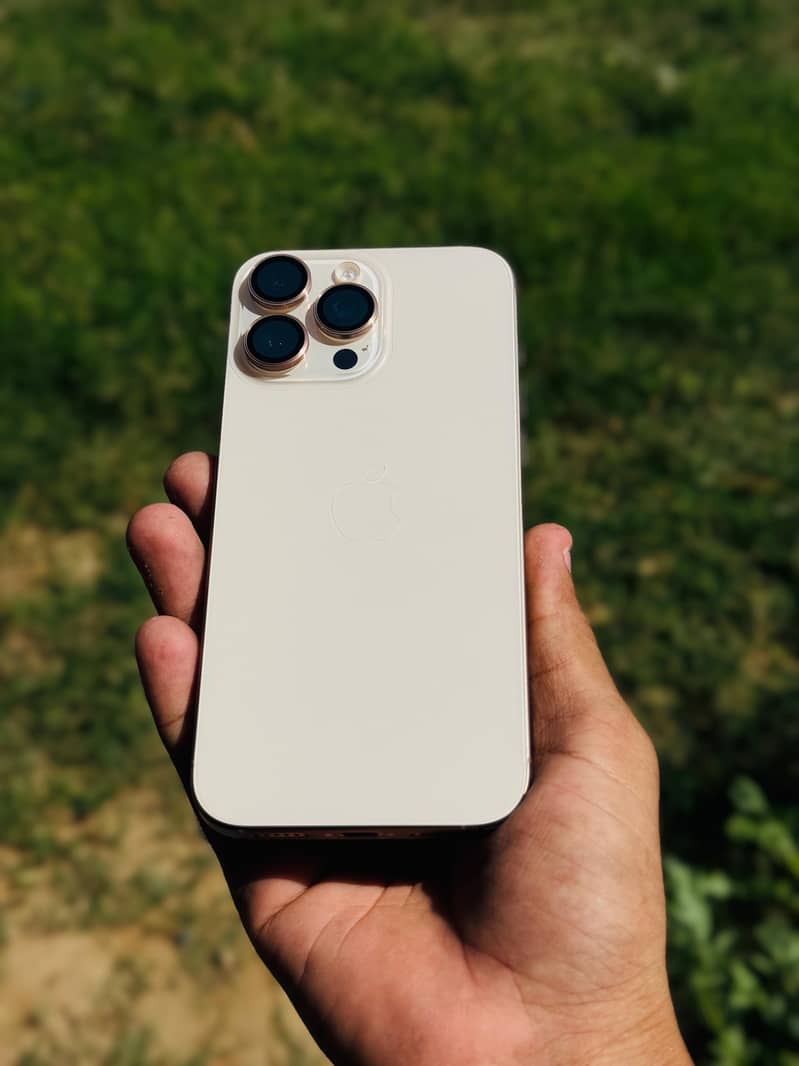 Apple iPhone 16 Pro Max 1