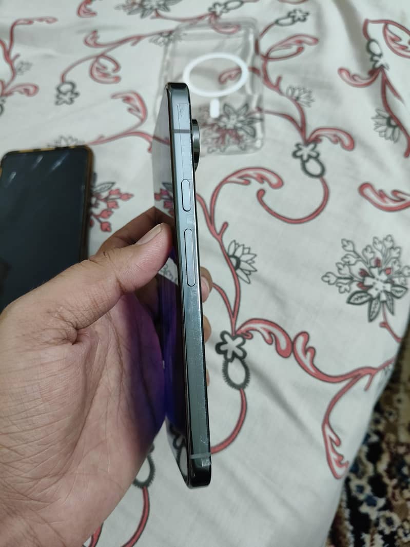 Google Pixel 9 Pro XL 1