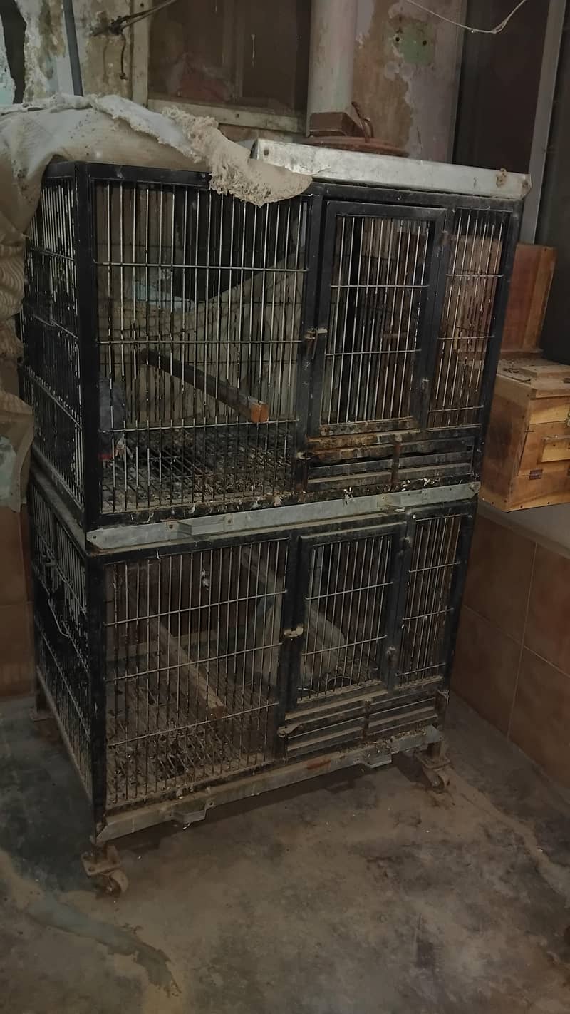 gray breeding cage 0