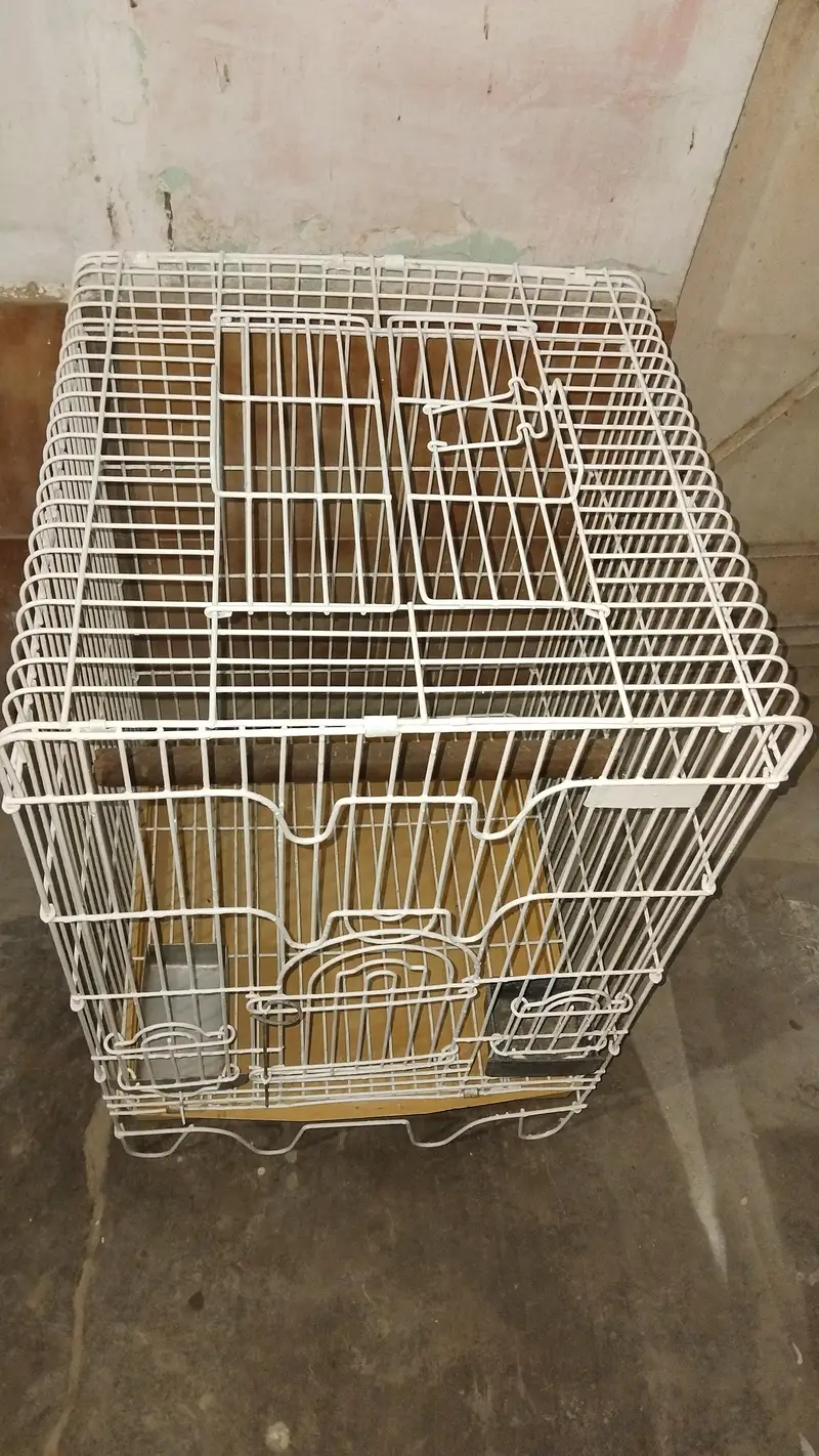 gray breeding cage — photo 4
