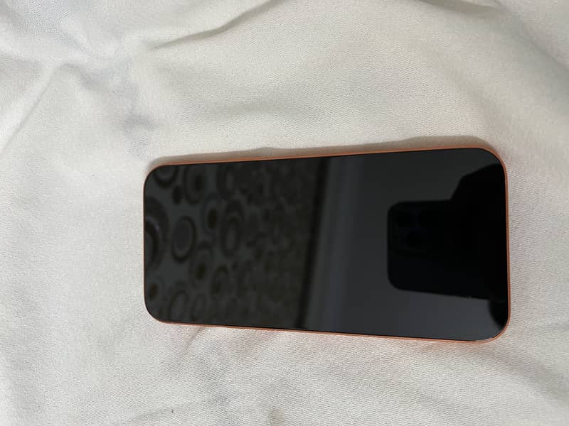 Apple iPhone 17 Pro Max 3