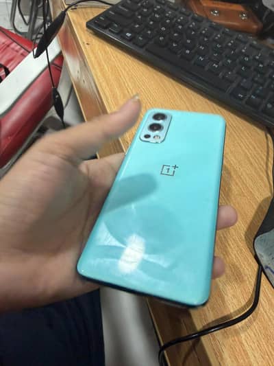 One Plus Other Model