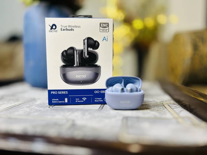 Different Earbuds at different Prices 5