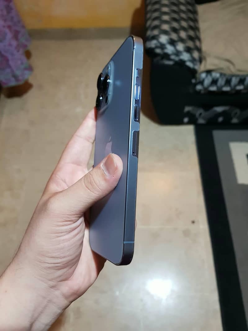Apple iPhone 13 Pro Max 2