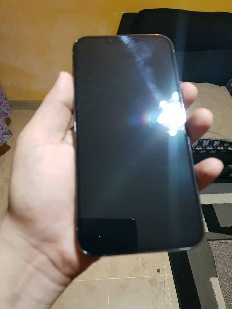 Apple iPhone 13 Pro Max 7