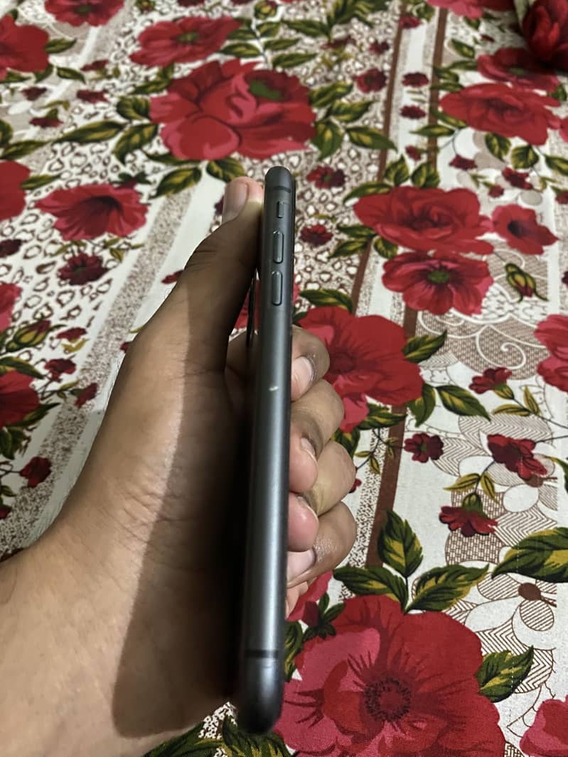 Apple iPhone 11 1