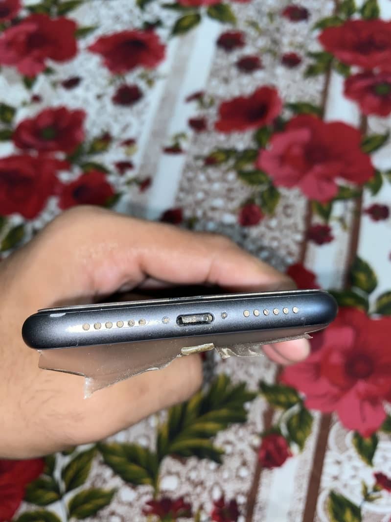 Apple iPhone 11 4