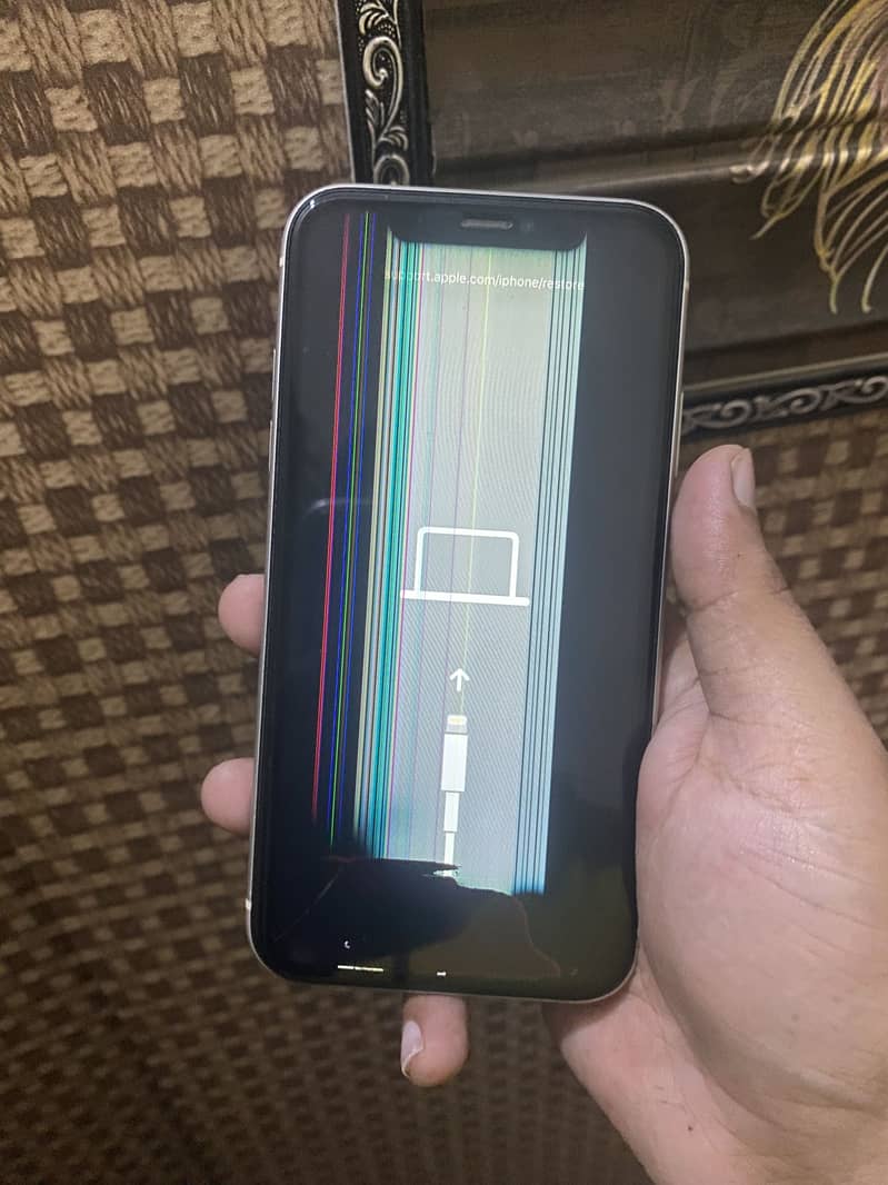 Apple iPhone 11 1