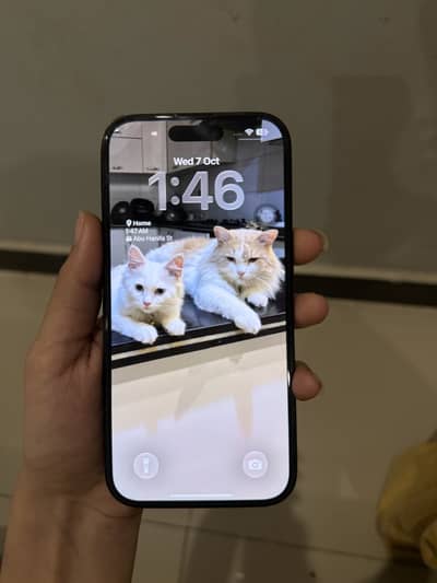iPhone 15 JV 128GB Black (With box)