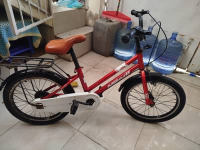 bicycle for 10 year