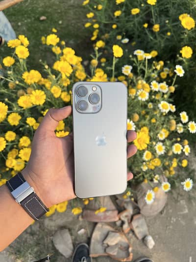 Apple iPhone 13 Pro Max Physical Dual