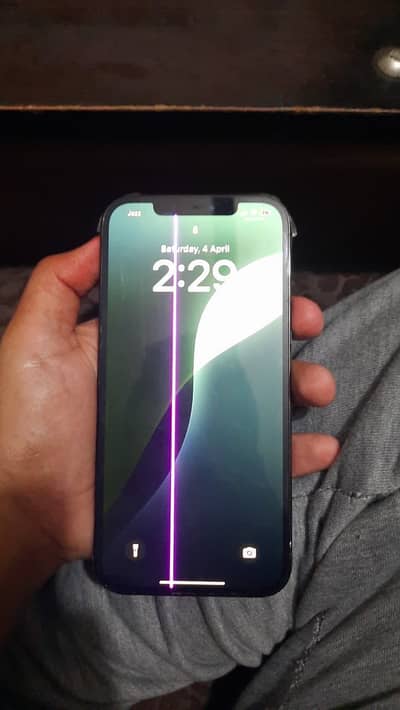 Apple iPhone 12 Pro Max