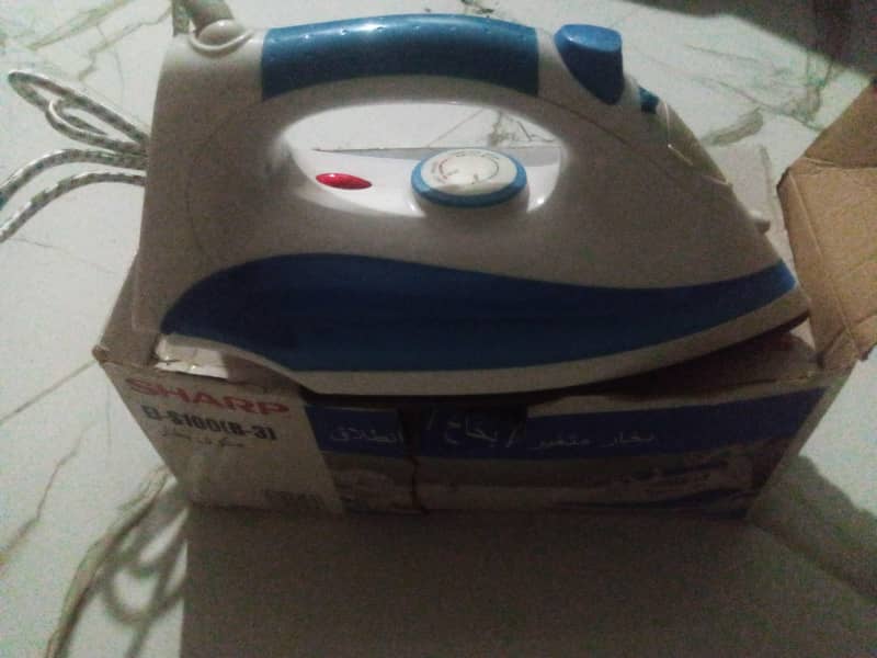 steam iron 2