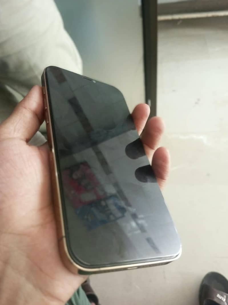 Apple iPhone 12 Pro Max 0