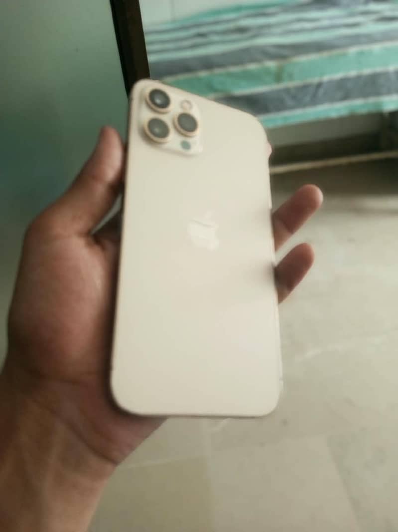 Apple iPhone 12 Pro Max 1