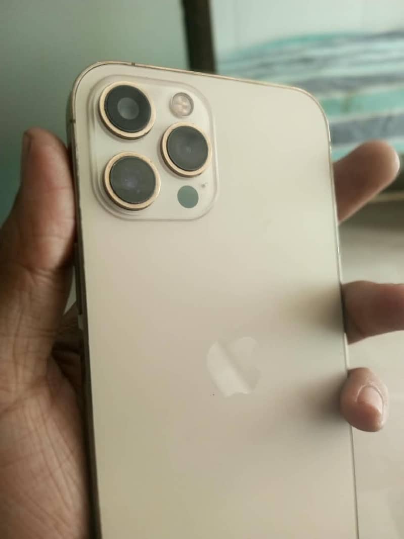 Apple iPhone 12 Pro Max 2