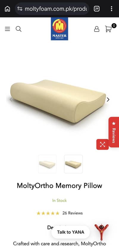 MoltyOrtho Pillow