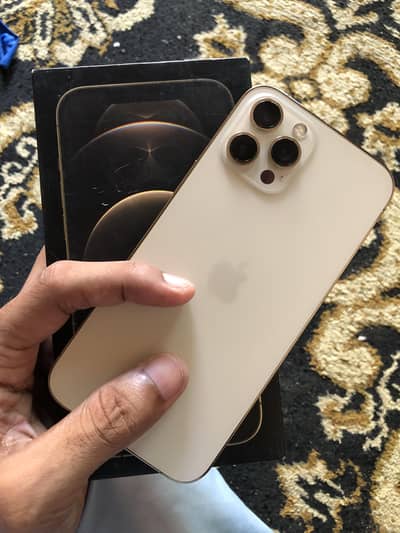 Apple iPhone 12 Pro Max