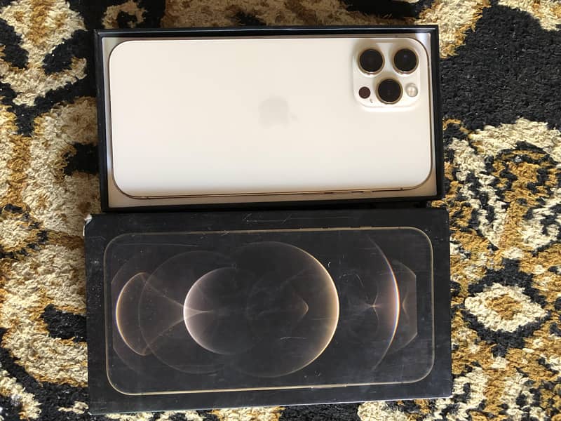 Apple iPhone 12 Pro Max 1