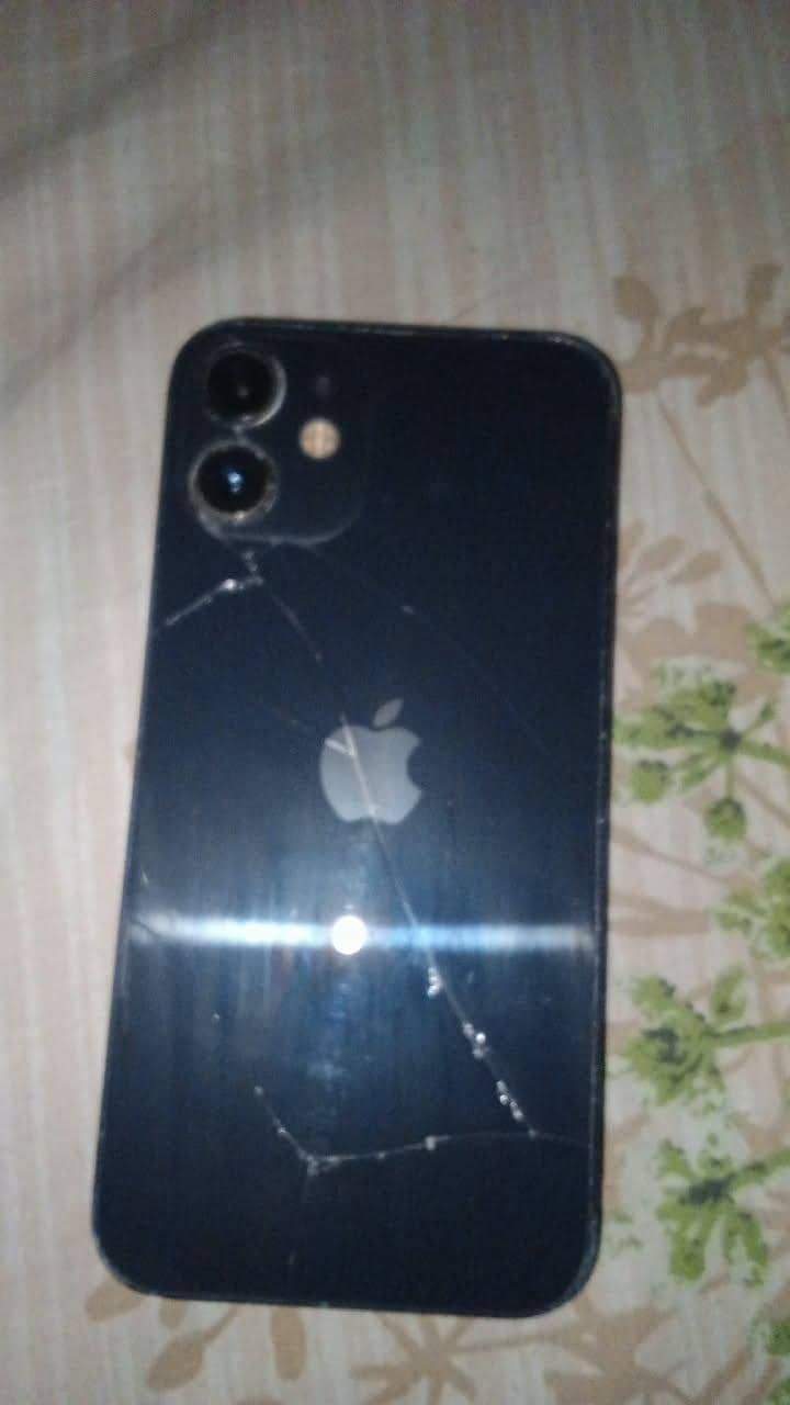 iphone 12 mini 1