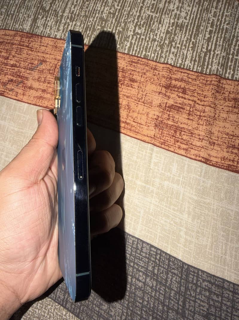 Apple iPhone 12 Pro Max 1