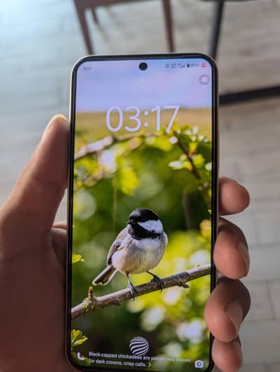 vivo y500