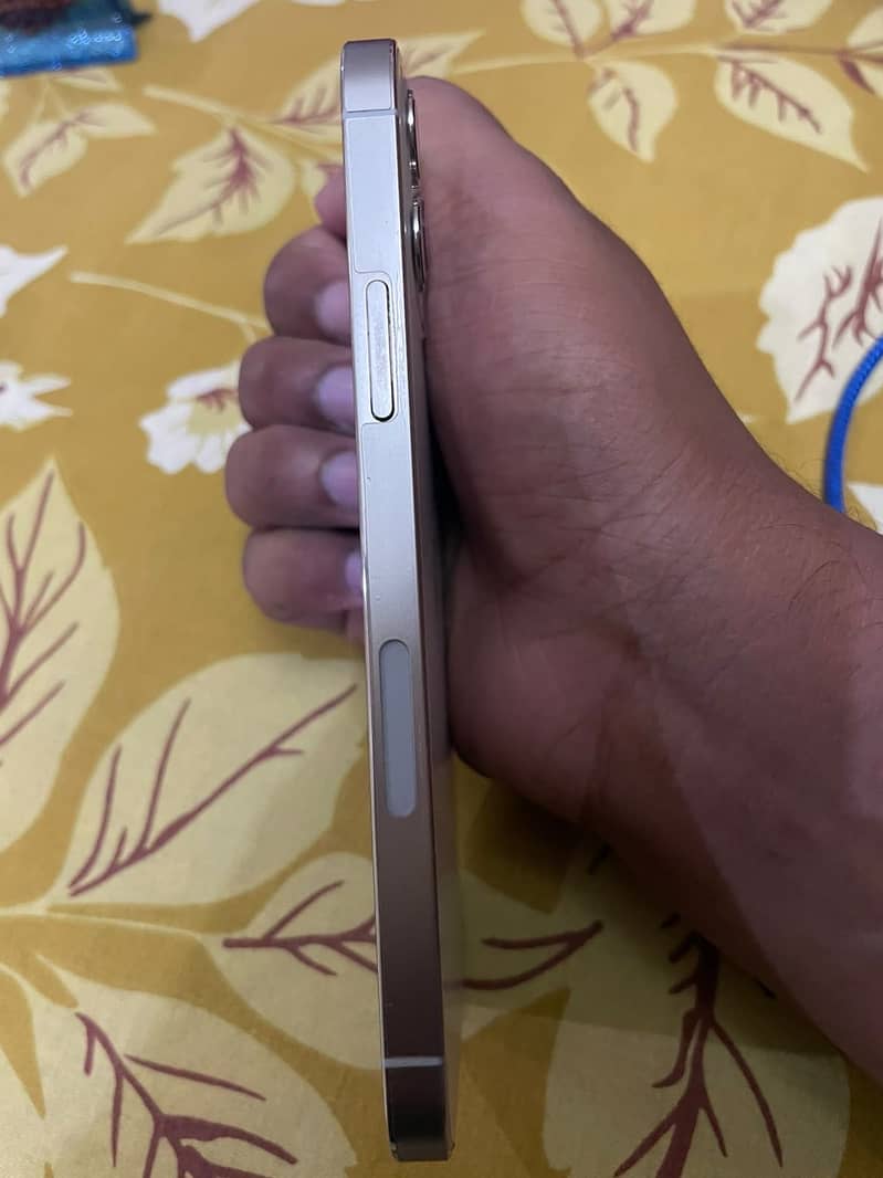 Apple iPhone 12 Pro 0