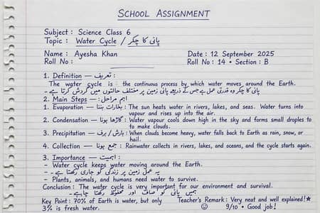 School Assignment Handwriting Work Lahore - 350 Rs