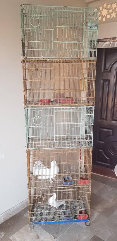 5 Portion Cage || For Parrots, Hen, Pigeon & more Birds. . .
