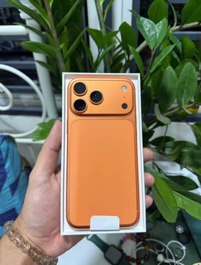 Apple iPhone 17 Pro Max Factory Unlock