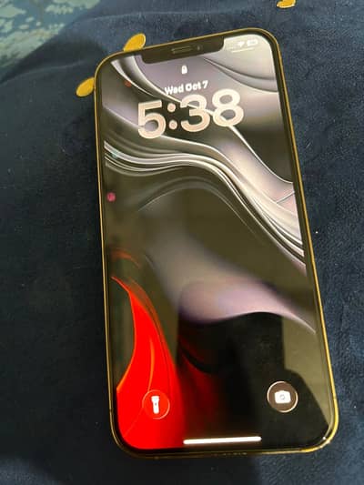 Apple iPhone 12 Pro Max