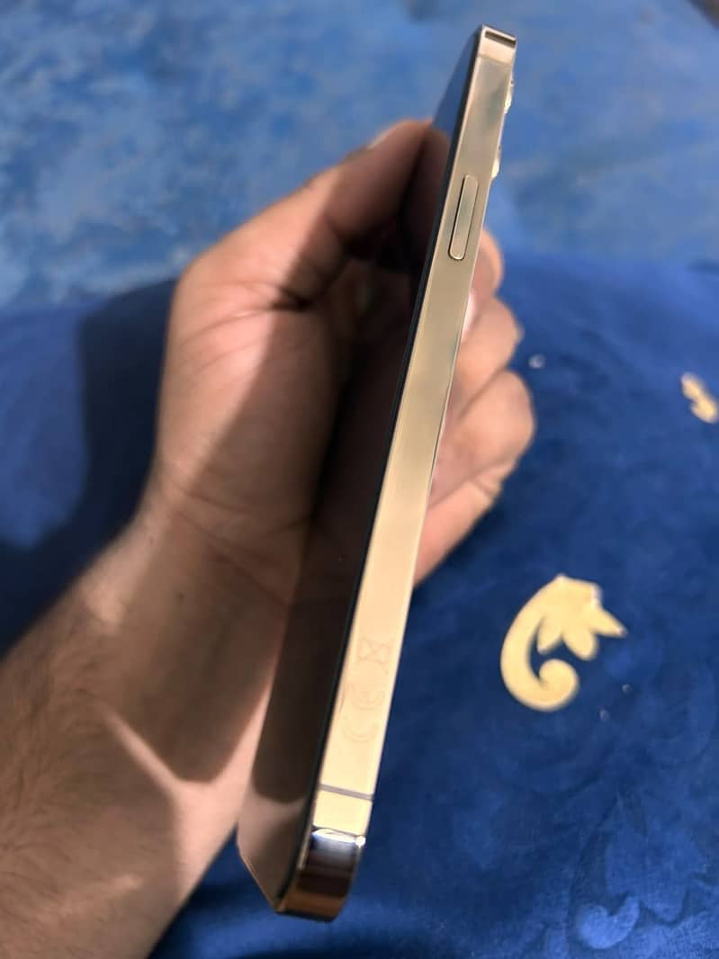 Apple iPhone 12 Pro Max 3
