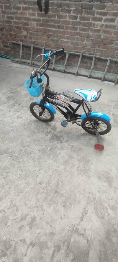 Eagle bicycle for sale