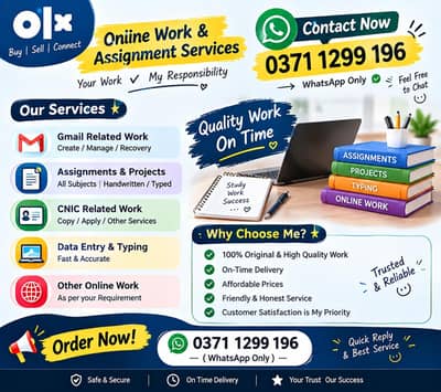 Online Assignment work