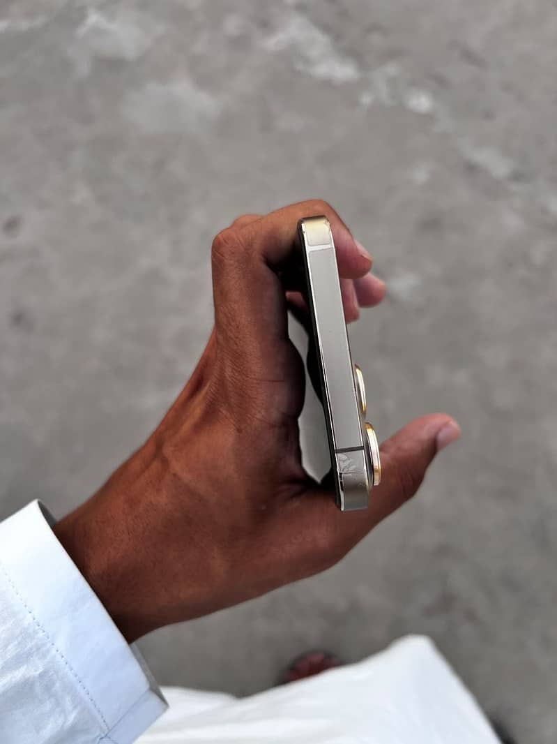 Apple iPhone 13 Pro Max 0