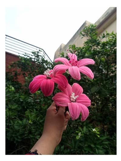 pipee cleaner flowers