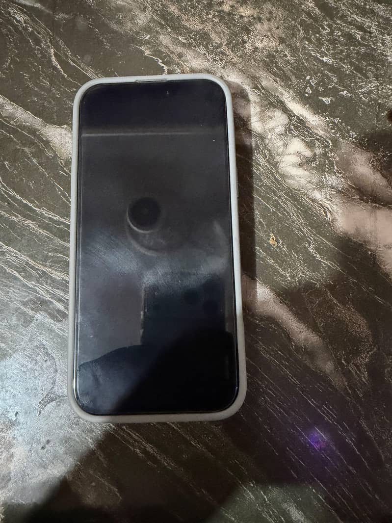 Apple iPhone 16 Pro Max 1