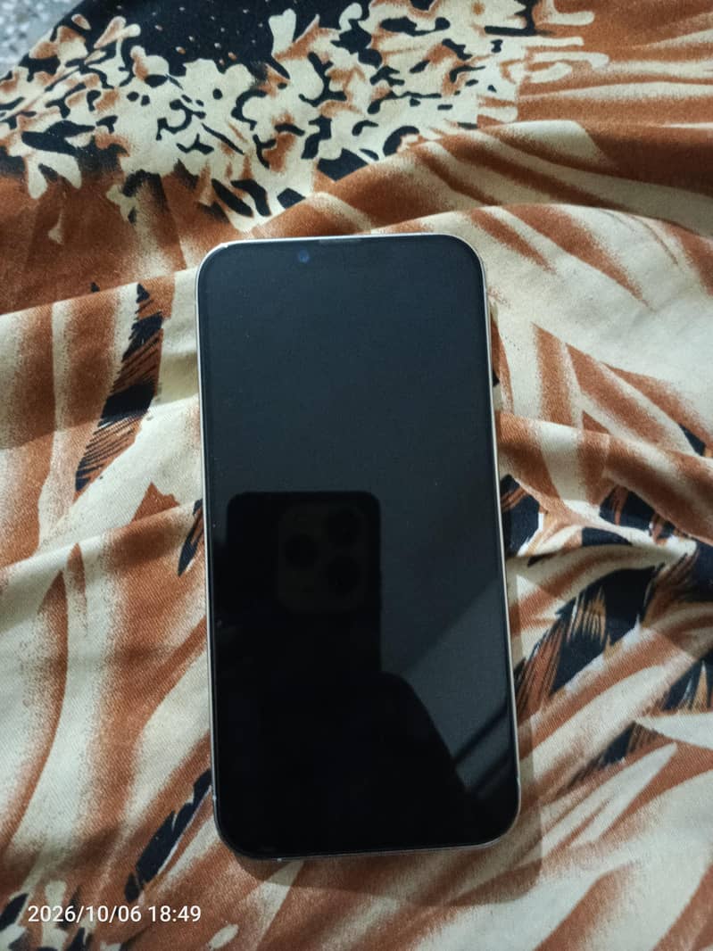 Apple iPhone 13 Pro Max 1