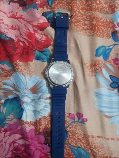 Aoa Dubia se Ai ha watch