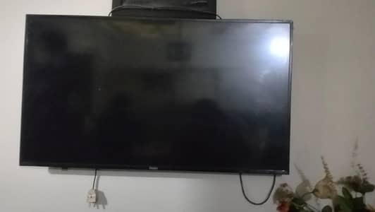 HAIER LED TV