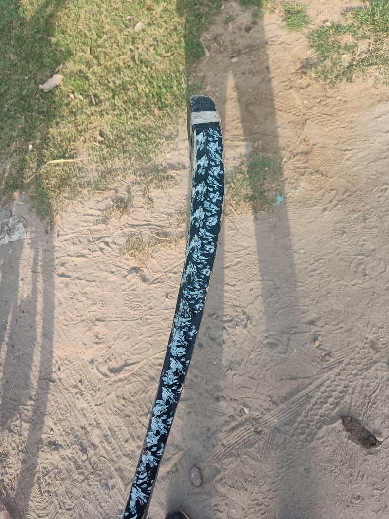coconut bat 2