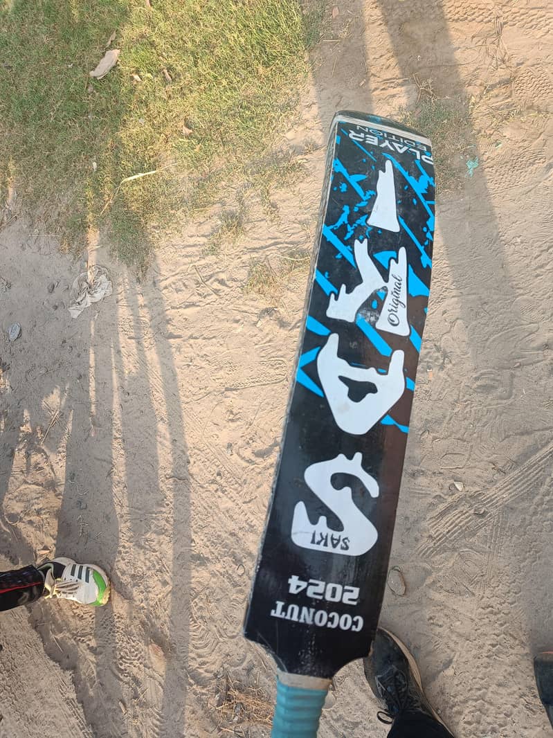 coconut bat 4