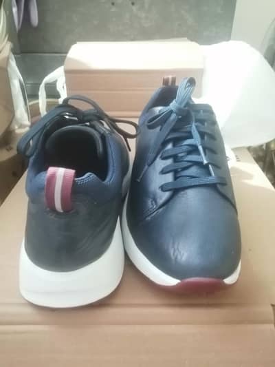 Rockport spikeless golf shoe