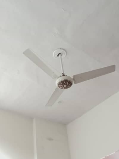 ceeling fan