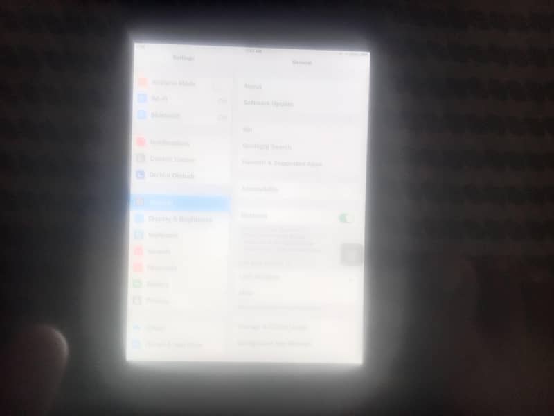 only safari 1