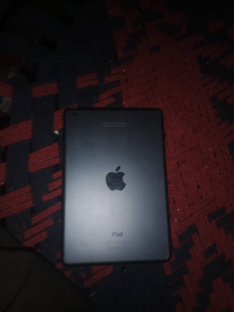 only safari 3